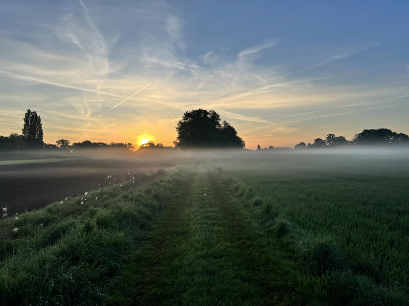 A scenic early morning landscape with the sun rising behind a cluster of trees, casting a golden glow through the mist over green fields and a plowed path. Wispy clouds streak the blue and orange sky.